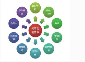 領創互聯 您身邊的互聯網建設與營銷專家，助力薯類銷售創新升級